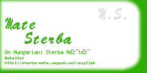 mate sterba business card